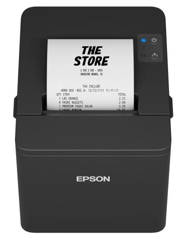 Epson TM-T20IV 203 x 203 DPI Alámbrico Térmico Impresora de recibos